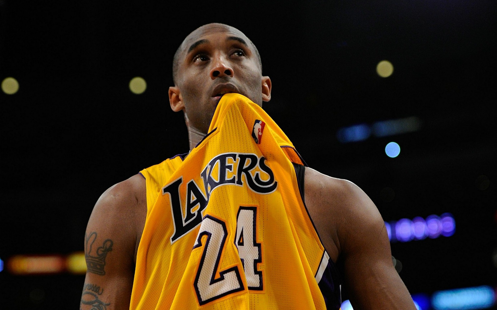 球迷的忠诚 球迷的忠诚